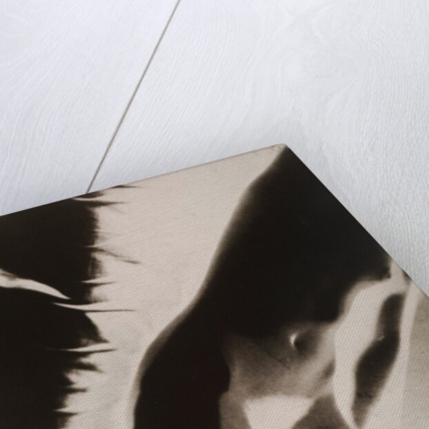 Akt Positiv, from Akt Positiv-Akt Negativ by László Moholy-Nagy
