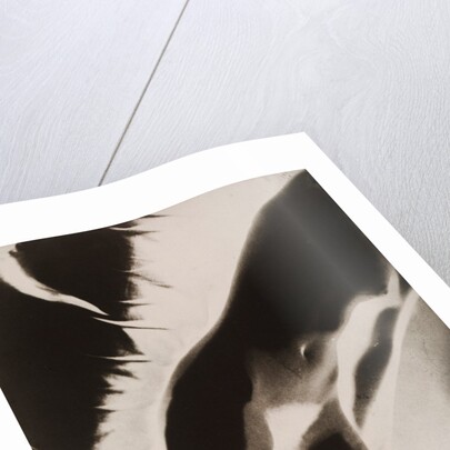 Akt Positiv, from Akt Positiv-Akt Negativ by László Moholy-Nagy