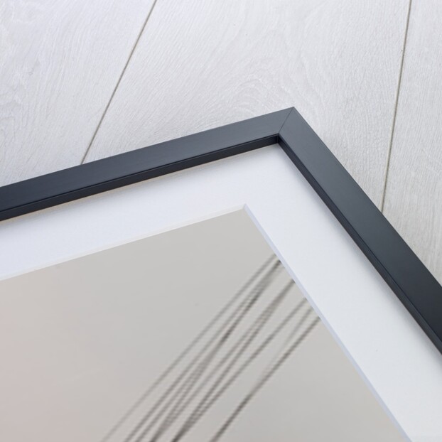 Mein Name ist Hase by Lazslo Moholy-Nagy