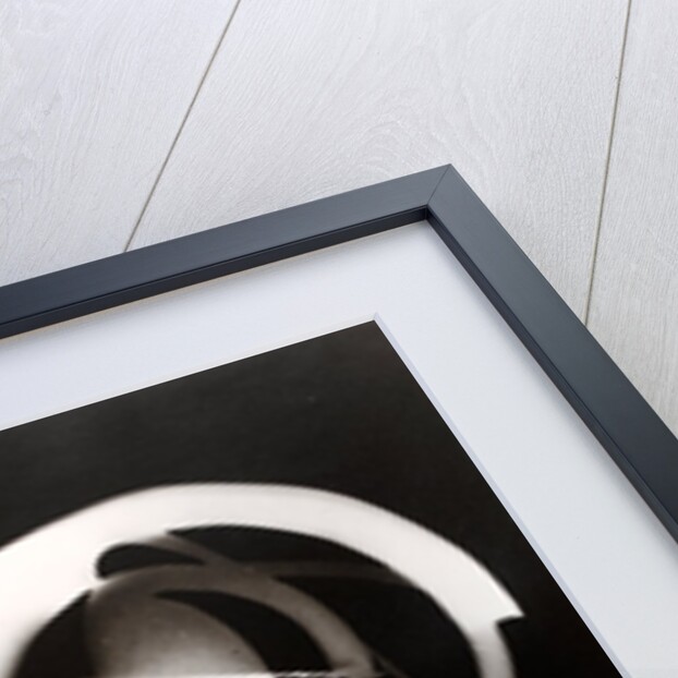 Fotogramm of segments and concentric circles of a sphere by László Moholy-Nagy