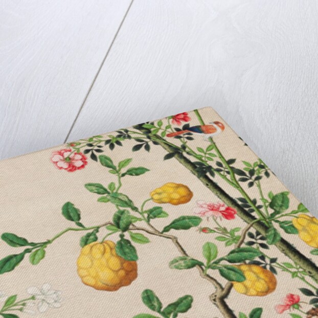 Wallpaper with yellow fruits in orange-coloured pot by unknown