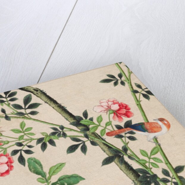 Wallpaper with small bird on branch beside a large yellow fruit by unknown