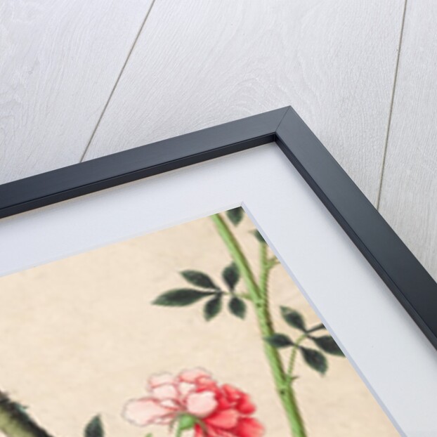 Wallpaper with small bird on branch beside a large yellow fruit by unknown