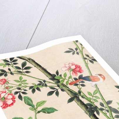 Wallpaper with small bird on branch beside a large yellow fruit by unknown