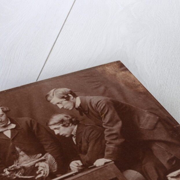 The Anatomy Lesson with Dr by Charles Lutwidge Dodgson