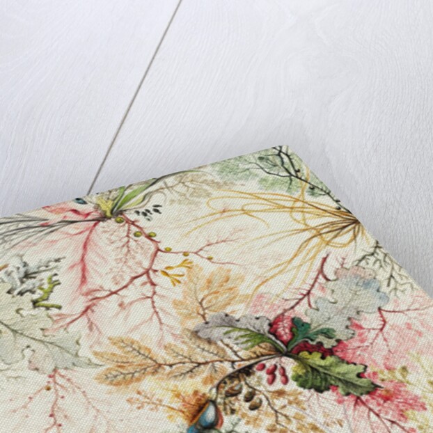 Design for chintz by William Kilburn