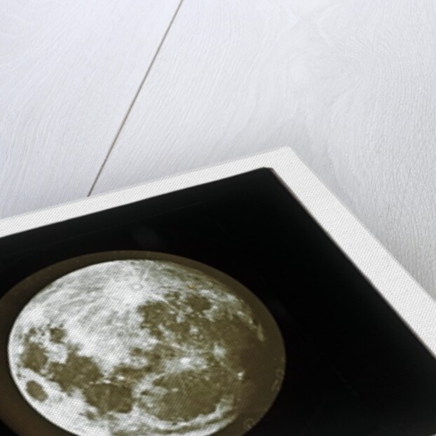 The moon by Warren De La Rue