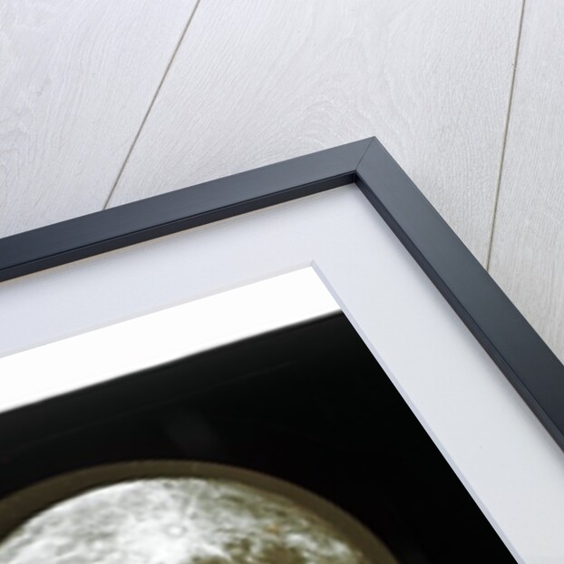 The moon by Warren De La Rue