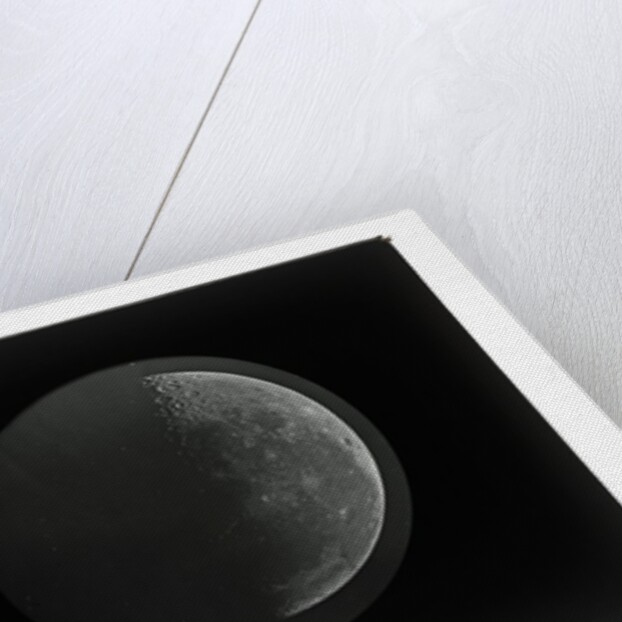 The moon by Warren De La Rue