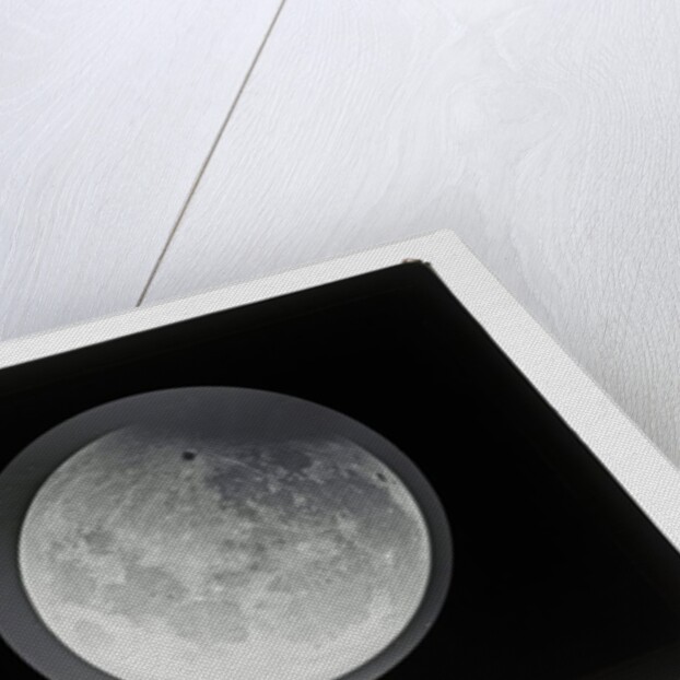 The moon by Warren De La Rue