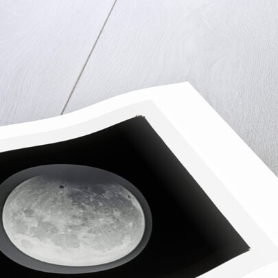 The moon by Warren De La Rue