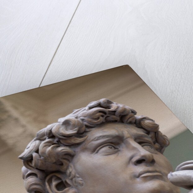 The Weston Cast Court (Gallery 46B) by Anonymous