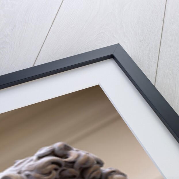 The Weston Cast Court (Gallery 46B) by Anonymous