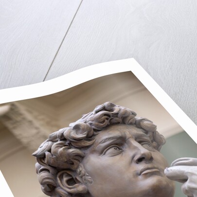 The Weston Cast Court (Gallery 46B) by Anonymous