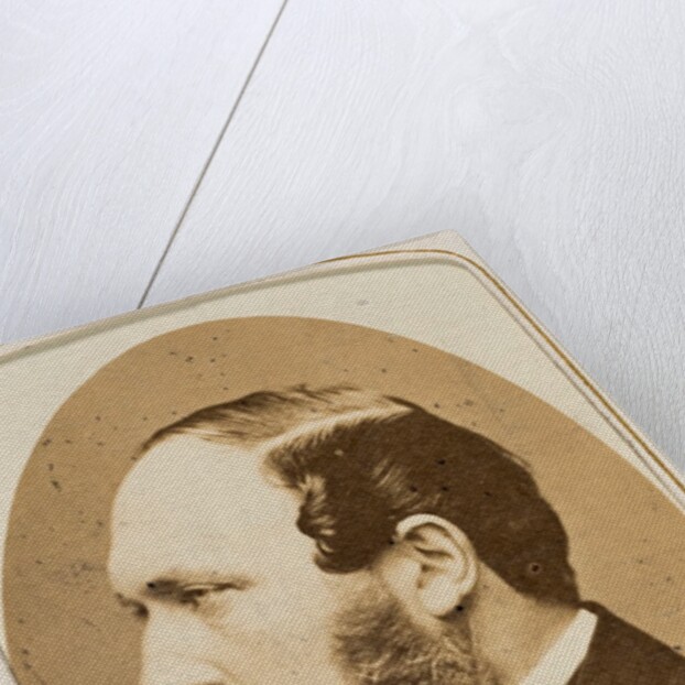 Prince Albert by John Jabez Edwin Mayall
