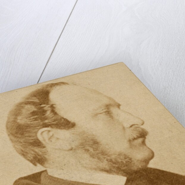Prince Albert by Oscar Rejlander