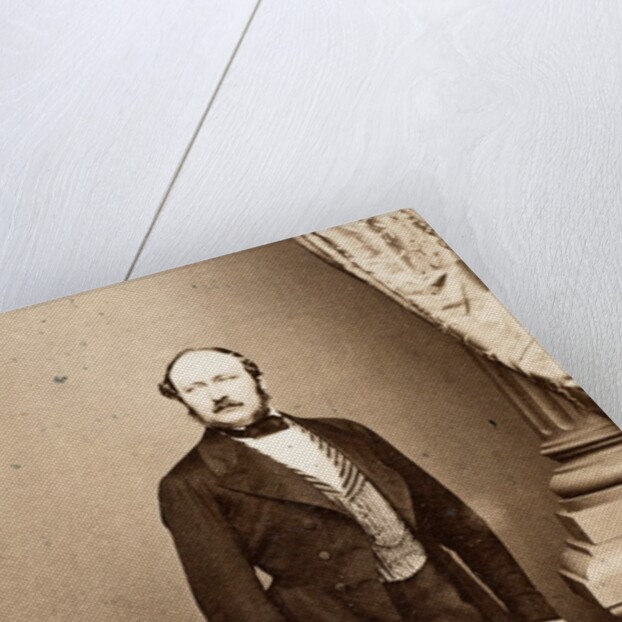 Prince Albert by John Jabez Edwin Mayall