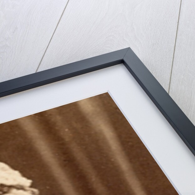 Queen Victoria by W & D Downey