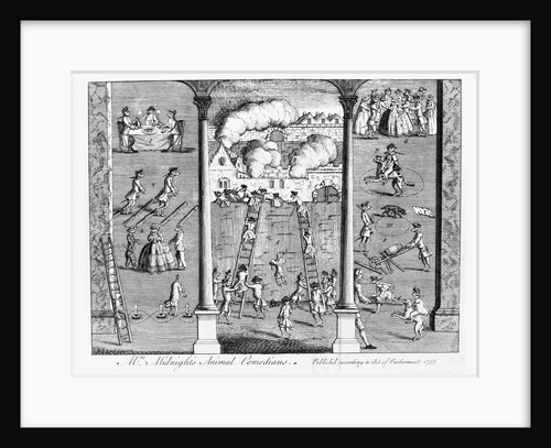 Mrs Midnight's Animal Comedians by Anonymous