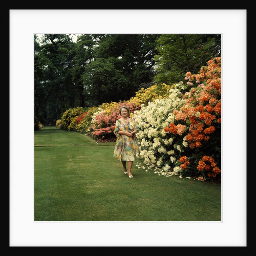 Queen Elizabeth, The Queen Mother in the gardens at Windsor Great Park by Cecil Beaton