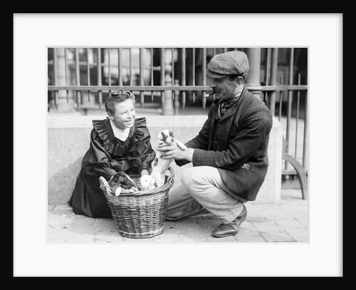 Dog Market - Buying a Puppy by Andrew Pitcairn-Knowles