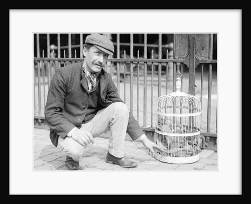 Dog Market - Dog in Bird Cage by Andrew Pitcairn-Knowles