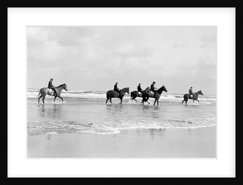 Horses Exercising in the sea by Andrew Pitcairn-Knowles