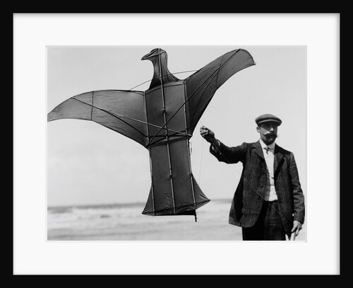 Man sized kite bird by Andrew Pitcairn-Knowles