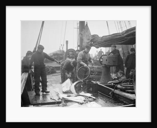 Unloading Fish on to Deck by Andrew Pitcairn-Knowles