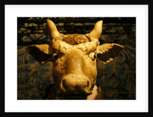 Head of an Ox by Stuart Cox