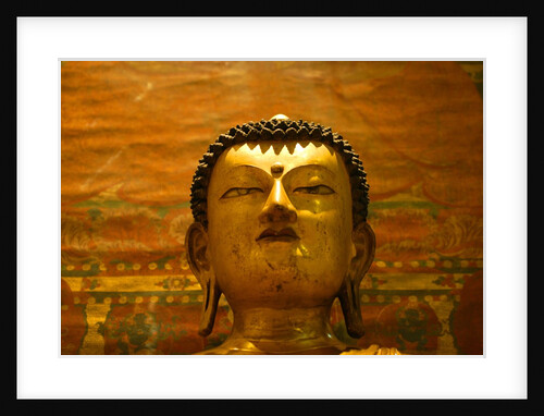 Seated Buddha by Stuart Cox