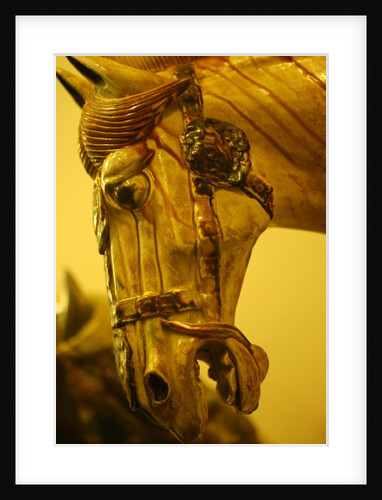 Horse by Stuart Cox