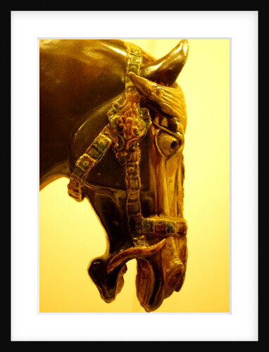 Horse by Stuart Cox