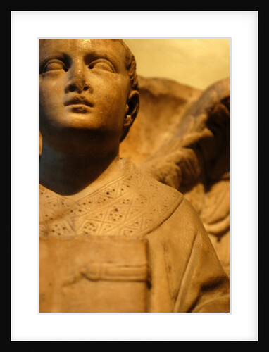 Winged Angel by Stuart Cox