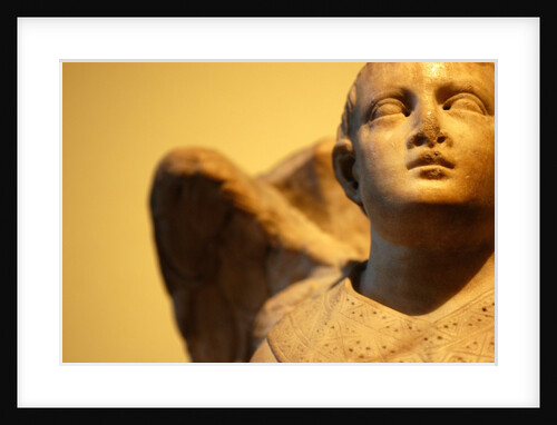 Winged Angel by Stuart Cox