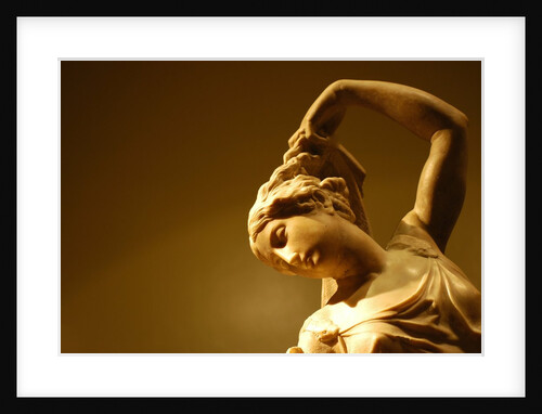 Leda and The Swan by Stuart Cox