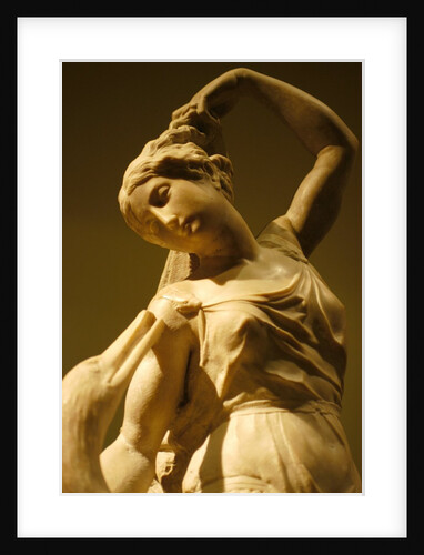 Leda and The Swan by Stuart Cox