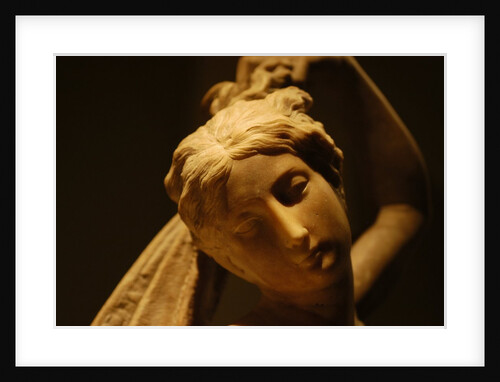 Leda and The Swan by Stuart Cox