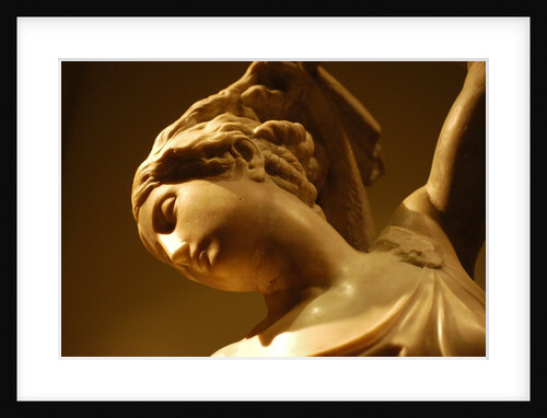 Leda and the Swan by Stuart Cox