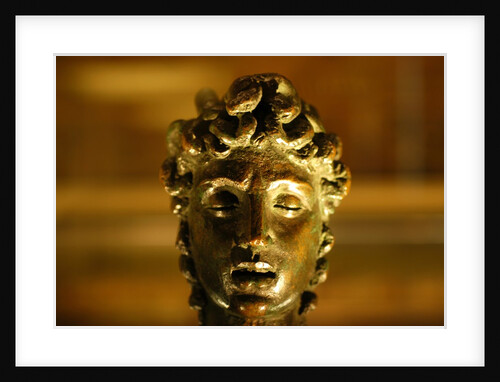 Medusa's Head by Stuart Cox