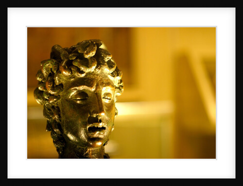 Medusa's Head by Stuart Cox
