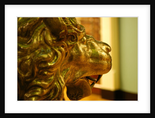 Lion, detail by Stuart Cox