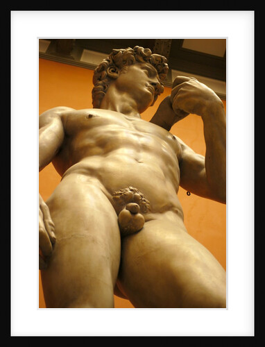 David, after the 16th century original by Michelangelo by Stuart Cox