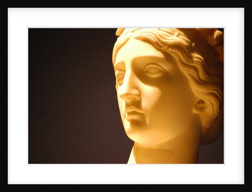 Pandora by Stuart Cox