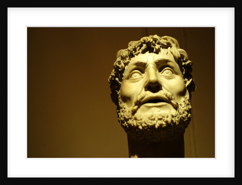 Emperor wearing a laurel wreath by Stuart Cox