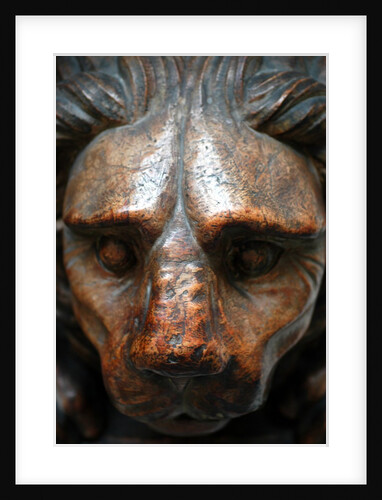 Lion by Stuart Cox