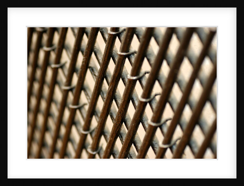 Fanlight grille, detail by Stuart Cox
