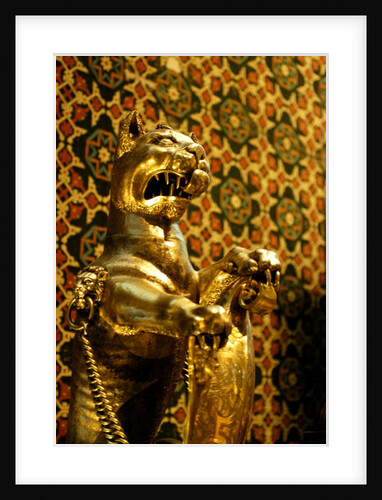 Leopard by Stuart Cox