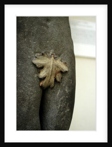 Fig leaf from a chimneypiece from Palazzo Rusconi by Stuart Cox