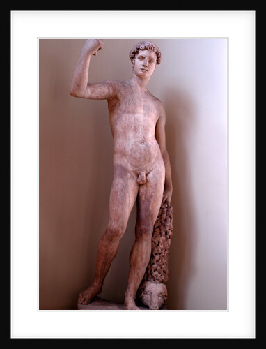 Jason and the golden fleece by Stuart Cox